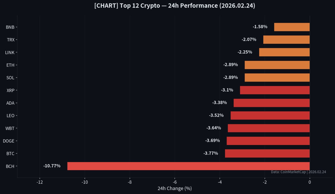 주요 암호화폐 24시간 하락률